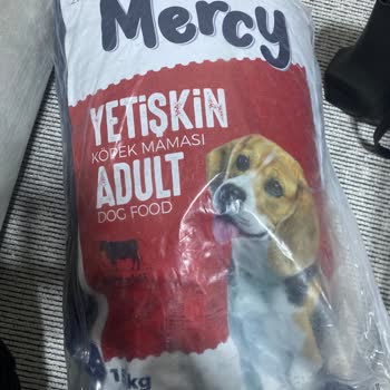 Kedi Maması Yerine Köpek Maması Gönderildi: Acil Çözüm Bekleniyor