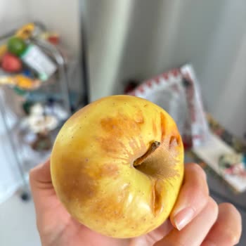 Eki aç
