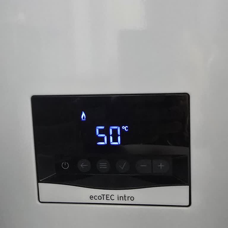 Şiddetli Sarsıntılı Ses Ve Yetersiz Isıtma Nedeniyle Vaillant Kombinin Değiştirilmesini İstiyorum