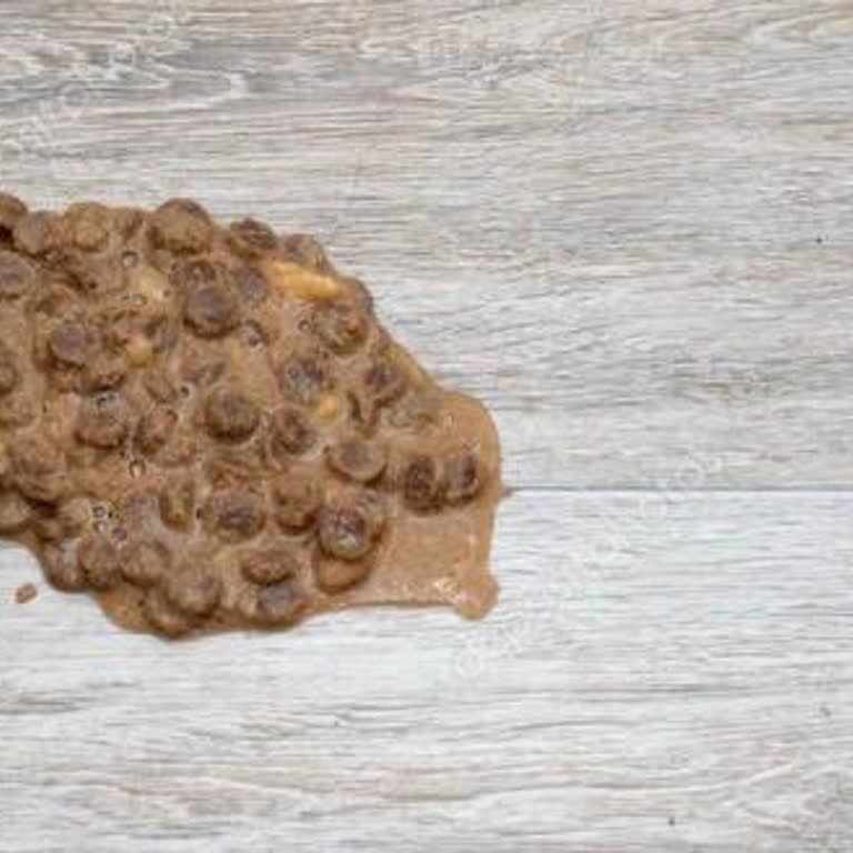Bozuk Köpek Maması Ve Yoğun Koku Nedeniyle Kusma, İade Seçeneği Kapalı Ve Acil İade Talebi