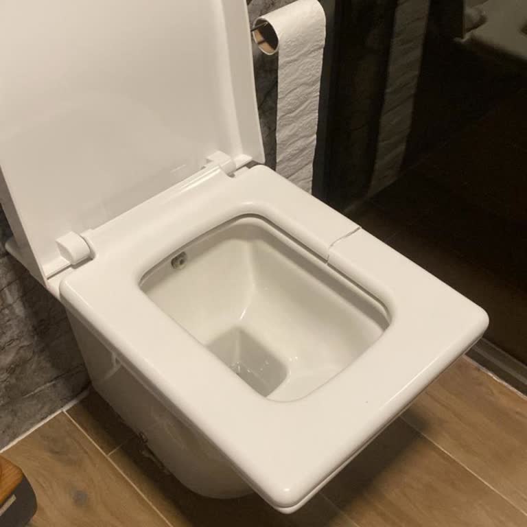 Bien Klozet Kapak Değişimi İçin Uyumlu Parça Talebi