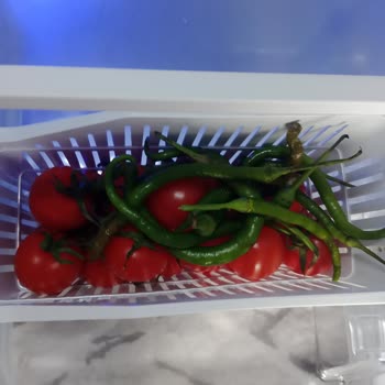 Beko Buzdolabı Gıdayı Bozuyor, Çamaşır Makinesi Lekeli Çıktı: Çözüm Yok Ve İade Talebi