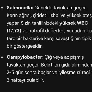 Burger King Whopper Menüsü Gıda Zehirlenmesi Şikayeti
