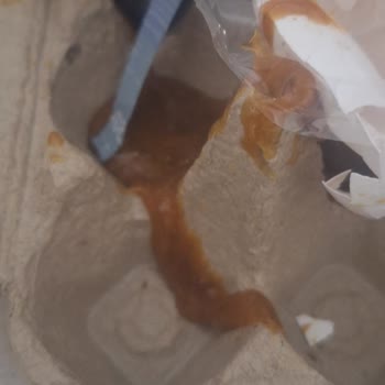 Sesu El Ağdası Yapışıyor, Formunu Kaybetti