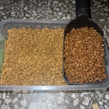 Hepsiburada'da Orijinalliği Şüpheli Kedi Maması Satışı ve İade Talebi