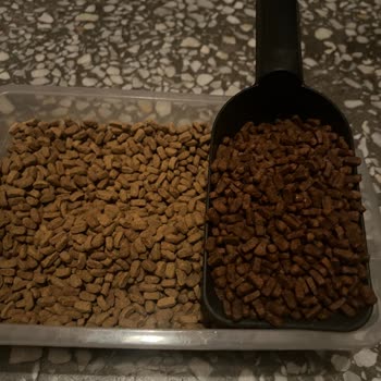 Hepsiburada'da Orijinalliği Şüpheli Kedi Maması Satışı ve İade Talebi