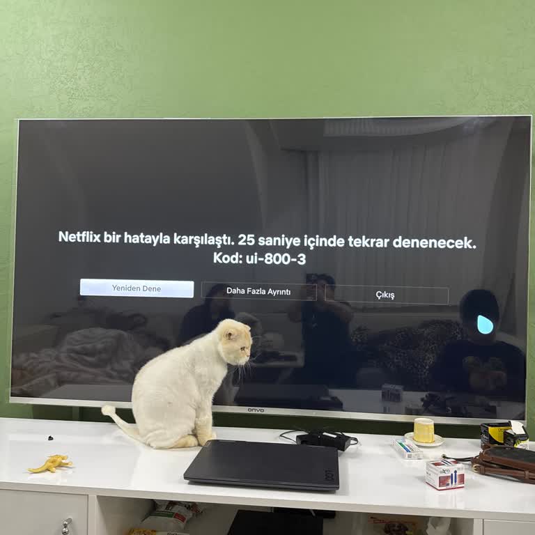 Onvo OV7550 Model Televizyonda Netflix Çalışmıyor: Kalıcı Çözüm Talebi