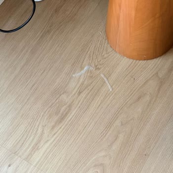 Dyson Spot Scrub’da Tekrarlayan Arızalar Ve Yetersiz Müşteri Hizmeti