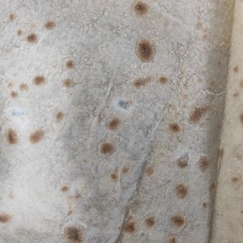 Bravo Süpermarket (Adana) Küflü Yufka Ekmeği: Hijyen ve Sağlık Endişesi