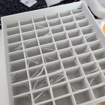 Porima Filamentlerinde Boyut Hatası Ve Yavaş Destek