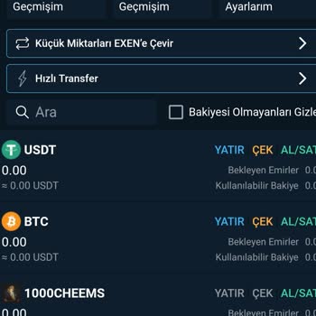 Pepe Coin Bakiyemin Bitexen Global’e Aktarımda Kaybolması