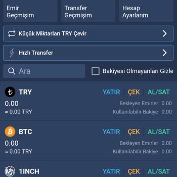 Pepe Coin Bakiyemin Bitexen Global’e Aktarımda Kaybolması