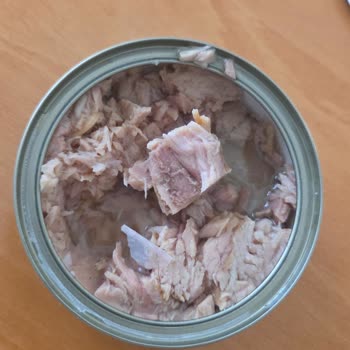 Dardanel Ton Konservesinde Plastik Parça