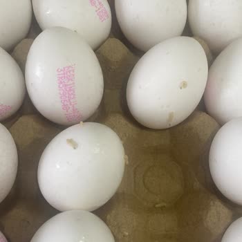 Migros Sanal Market’te Kırık Ve Bozulmuş Yumurta Teslimatı Üzerine Ücret İadesi Ve Açıklama Talebi