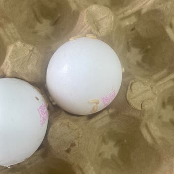 Migros Sanal Market’te Kırık Ve Bozulmuş Yumurta Teslimatı Üzerine Ücret İadesi Ve Açıklama Talebi