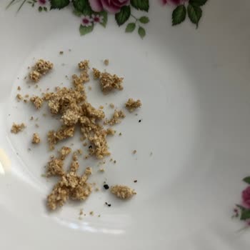 Migros Bisküvi İçinde Taş Parçası Nedeniyle Diş Kırılması Ve 5.000 TL Tedavi Masrafı Talebi