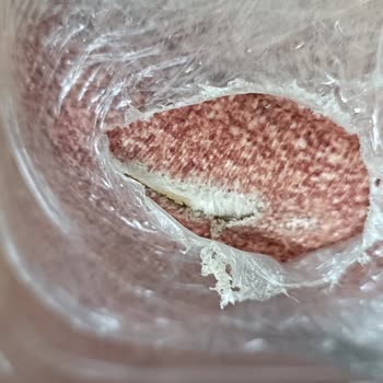Düğün Öncesi Yırtık Kanepe İçin Acil Değişim Talebi