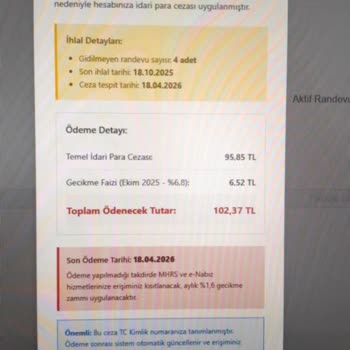 Sahte Randevu Sitesinde Kullanılması ve Yanıltıcı Ceza Talebi