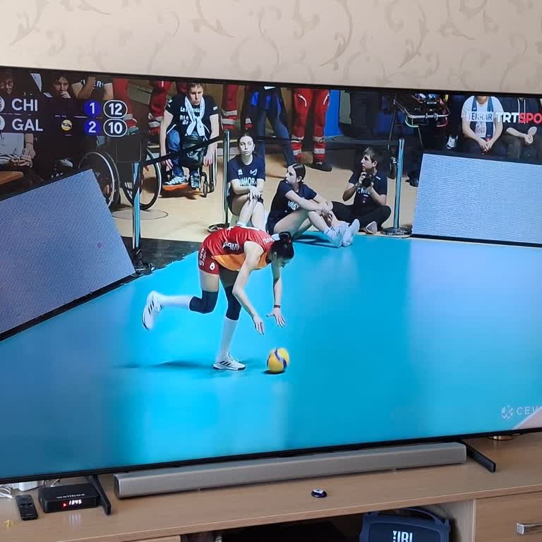 Garanti Kapsamındaki Panel Arızasına Yetersiz Onarım Ve Kalıcı Çözüm Talebi