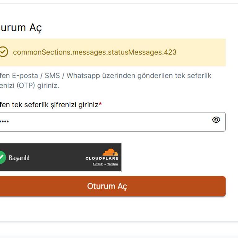 OTP Gecikmesi Ve Bot Koruması Eksikliği Nedeniyle Vize Randevu Sisteminde Güven Kırıcı Sorunlar