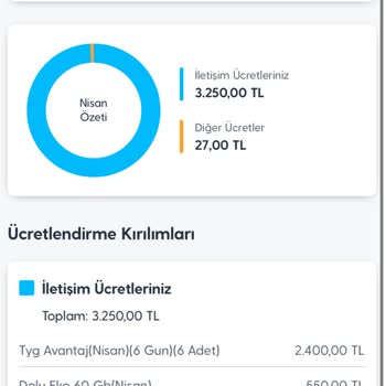 İzin Almadan Yüksek Tutarlı Paketlerin Faturaya Eklenmesi