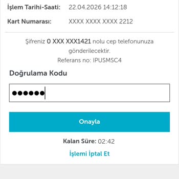 Hadi Hesabımda 460 TL Bakiyeyi Kullanamama Sorunu