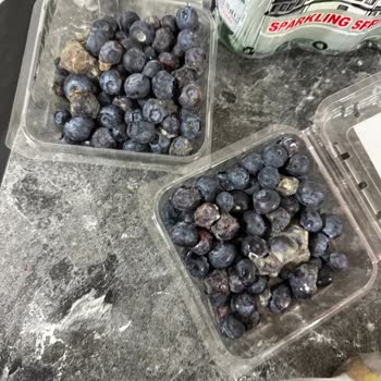 Migros Sanal Market’te Tekrarlayan Bozuk Gıda Ürünleri Ve Soğuk Zincir Problemi