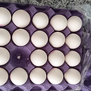 Satın Alınan 20'li Yumurta Paketi Eksik Çıktı, Şube Kontrolü Ve Özür Talebi