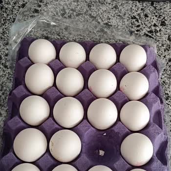 Satın Alınan 20'li Yumurta Paketi Eksik Çıktı, Şube Kontrolü Ve Özür Talebi