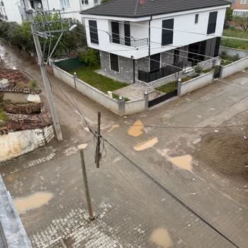 Türk Telekom'un Tehlikeli Tahta Direği Yol Ortasında Kazaya Neden Oldu, Acil Müdahale Şart