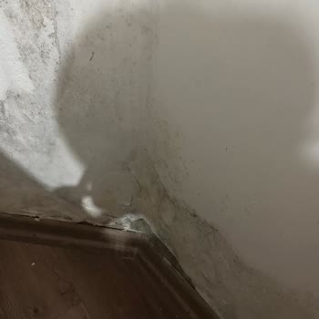 Sigorta Şirketinin Haksız Hasar Reddi Ve Uzun Süreli Ekspertiz Gecikmesi