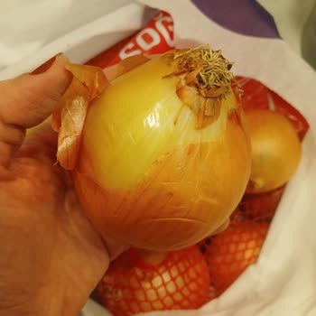 Getir Siparişinde Bozulmuş Ürünler Geciken İade Ve Yetersiz Müşteri Hizmetleri