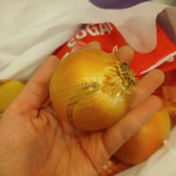 Getir Siparişinde Bozulmuş Ürünler Geciken İade Ve Yetersiz Müşteri Hizmetleri