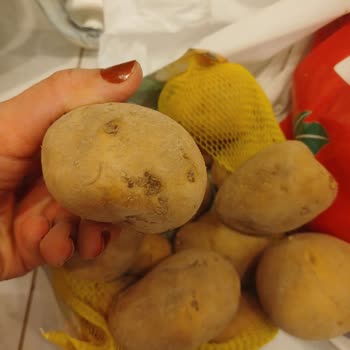 Getir Siparişinde Bozulmuş Ürünler Geciken İade Ve Yetersiz Müşteri Hizmetleri