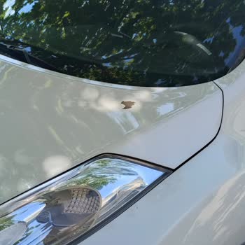 Garanti Dışı Boya Soyulması: Üretim Hatası