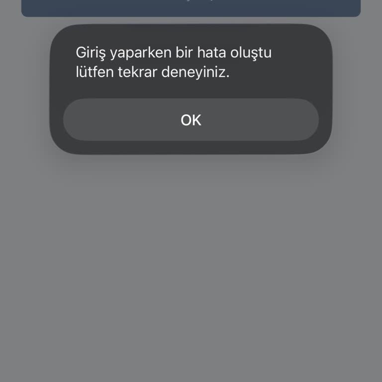 Naos Uygulamasında İki Aylık Giriş Yapamama Sorunu