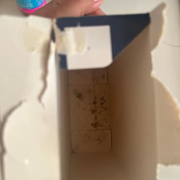 Son Kullanma Tarihi 2028 Olan Barilla Makarnasında Küf Ve Sağlık Sorunu