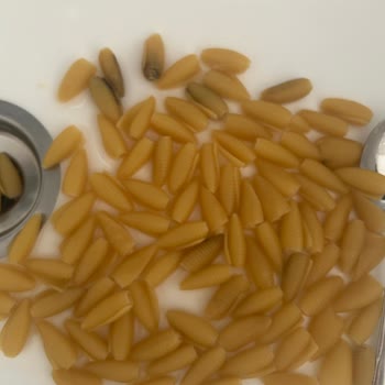 Son Kullanma Tarihi 2028 Olan Barilla Makarnasında Küf Ve Sağlık Sorunu