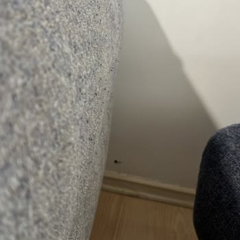 İstikbal Kanepede Tüylenme Sorunu Ve Garanti Tutarsızlığı
