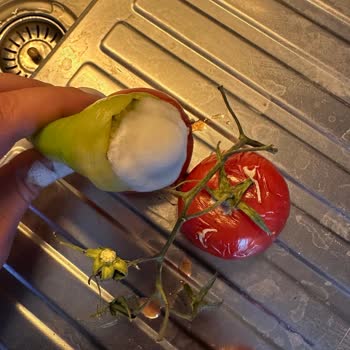Arçelik Gardırop Tipi Buzdolabında Sürekli Küflenme Ve Değişim Talebi