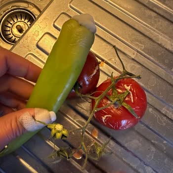 Arçelik Gardırop Tipi Buzdolabında Sürekli Küflenme Ve Değişim Talebi