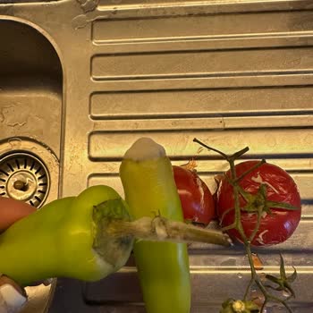 Arçelik Gardırop Tipi Buzdolabında Sürekli Küflenme Ve Değişim Talebi