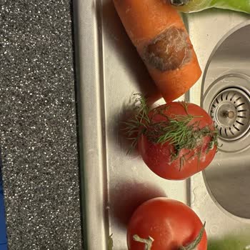 Arçelik Gardırop Tipi Buzdolabında Sürekli Küflenme Ve Değişim Talebi