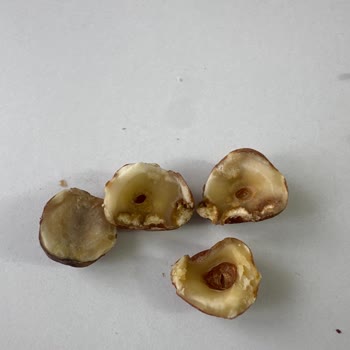 Hakmar Naturel Mix'te Bozuk Fındıklar Ve Sağlık Riski