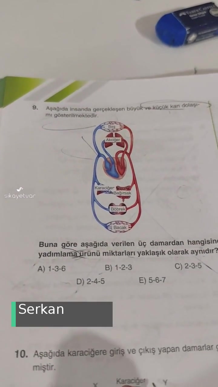 Bilgi Sarmal Yayınları Dolaşım Sistemi Test 1 Soru 9! videonun kapak resmi