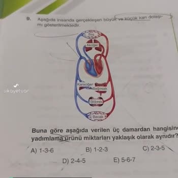 Bilgi Sarmal Yayınları Dolaşım Sistemi Test 1 Soru 9!