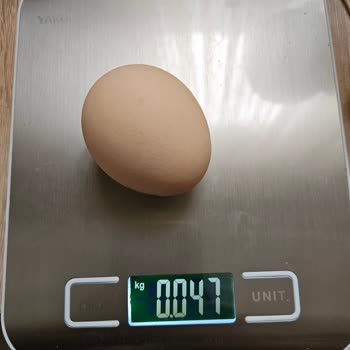 Getir Üzerinden Satın Alınan M Boy Yumurtalarda Sürekli Ağırlık Sorunu