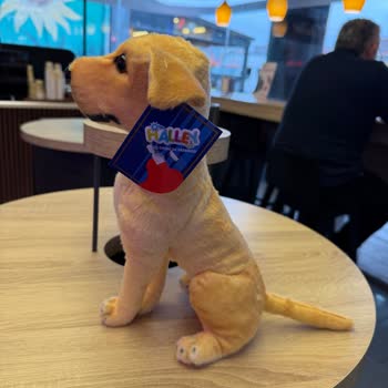 Petrol Ofisi Alkan Petrol Market'te Kasa Etiket Fiyat Farkı