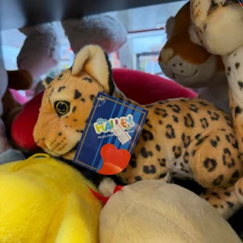 Petrol Ofisi Alkan Petrol Market'te Kasa Etiket Fiyat Farkı