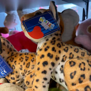 Petrol Ofisi Alkan Petrol Market'te Kasa Etiket Fiyat Farkı